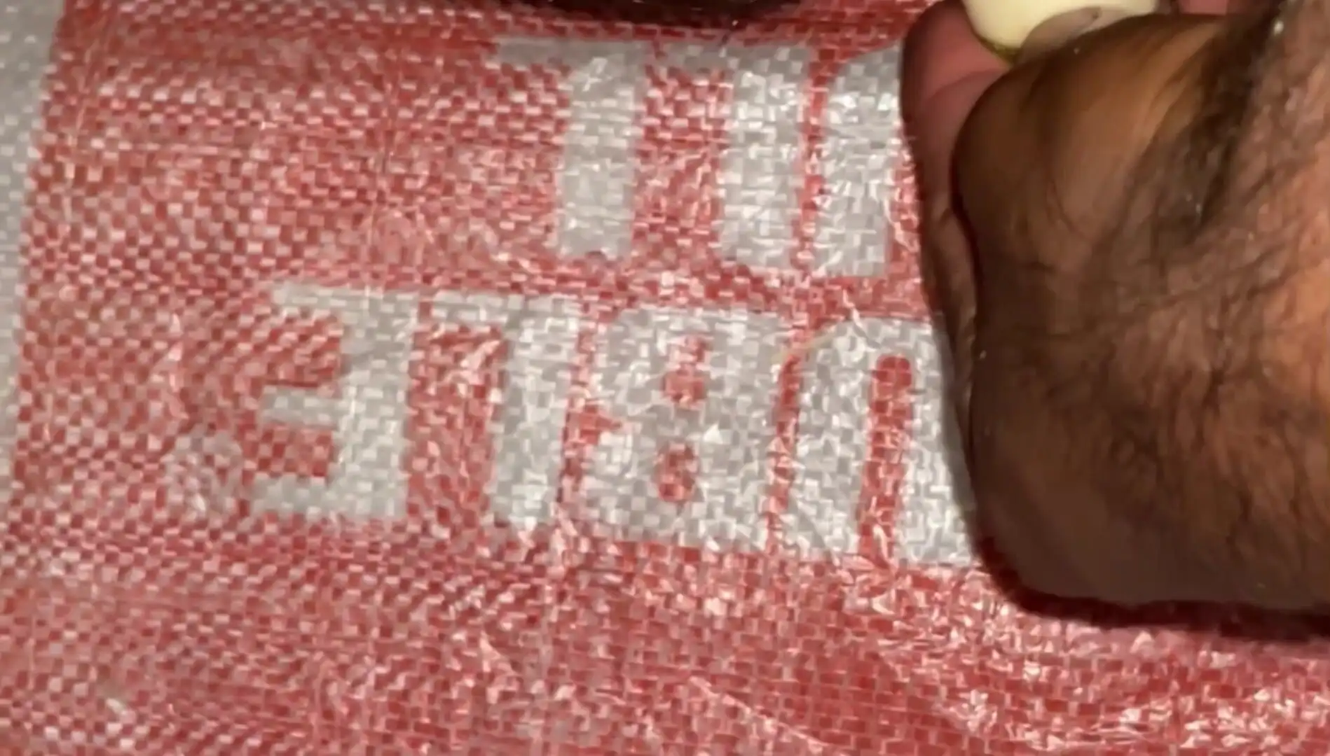 Sexy Boy Show Dick