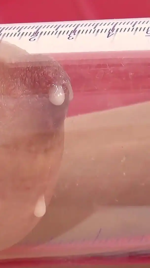 Nanako Hinata Pumps Her Nipples Until They Swell