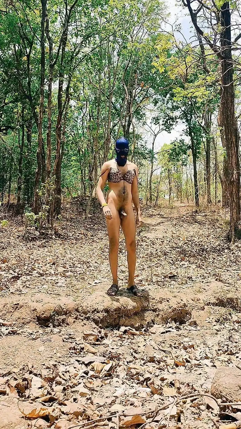 Desi Boy Tani