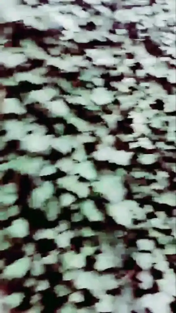 Slutboyben Cam4 Nympho Cock Cumzzz