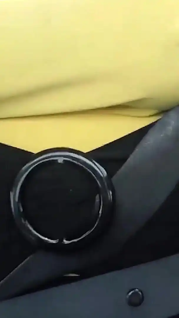 Huge Tits Driving Topless