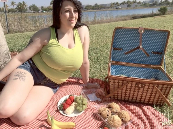 Picnic In The Park