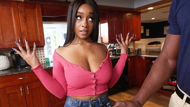 Sweet ebony doll Lily Starfire fucks with a beautiful black dick